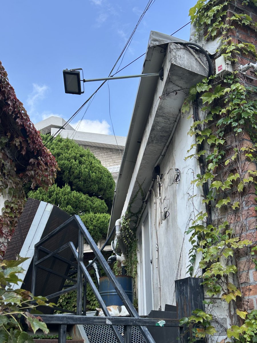 writeNjoy's tweet image. 