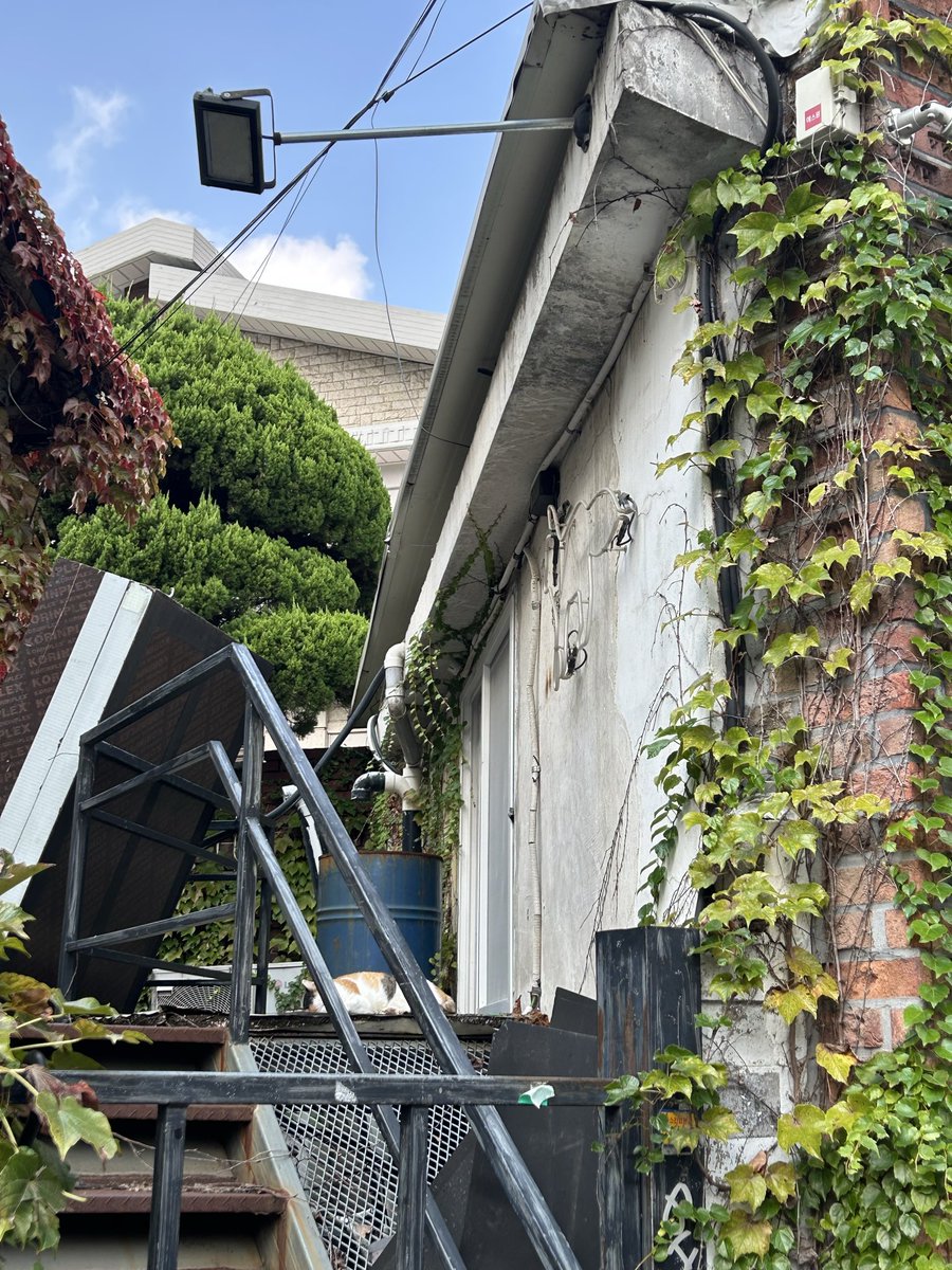 writeNjoy's tweet image. 