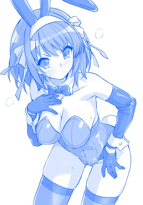 バニーハルヒさん 