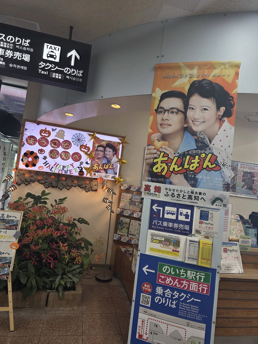 mmmmmsbt's tweet photo. ただいま！しかし高知が暑すぎる https://t.co/zy7WTgWzCK