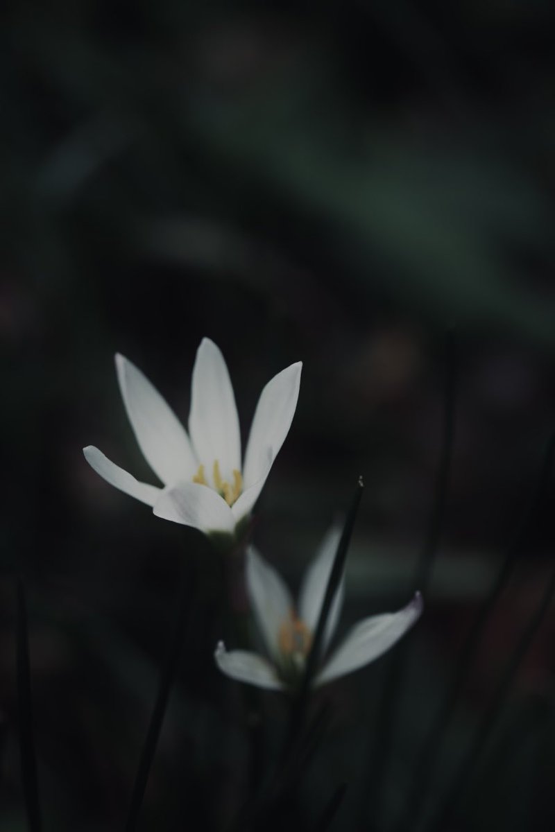 Rei (@photorei_) on Twitter photo 