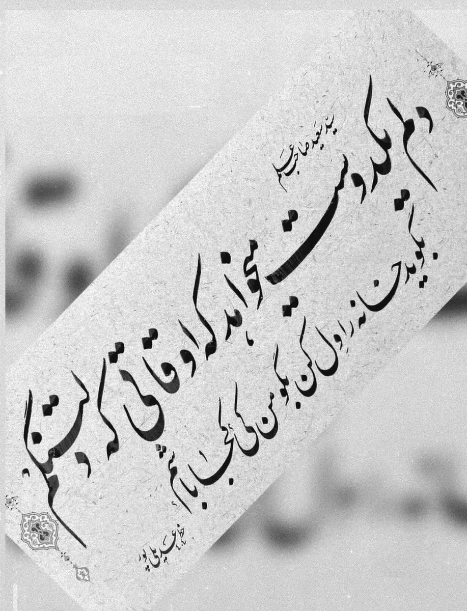 seemorgh_anka's tweet photo. فقط همین‼️ https://t.co/HtpF8aGIKK