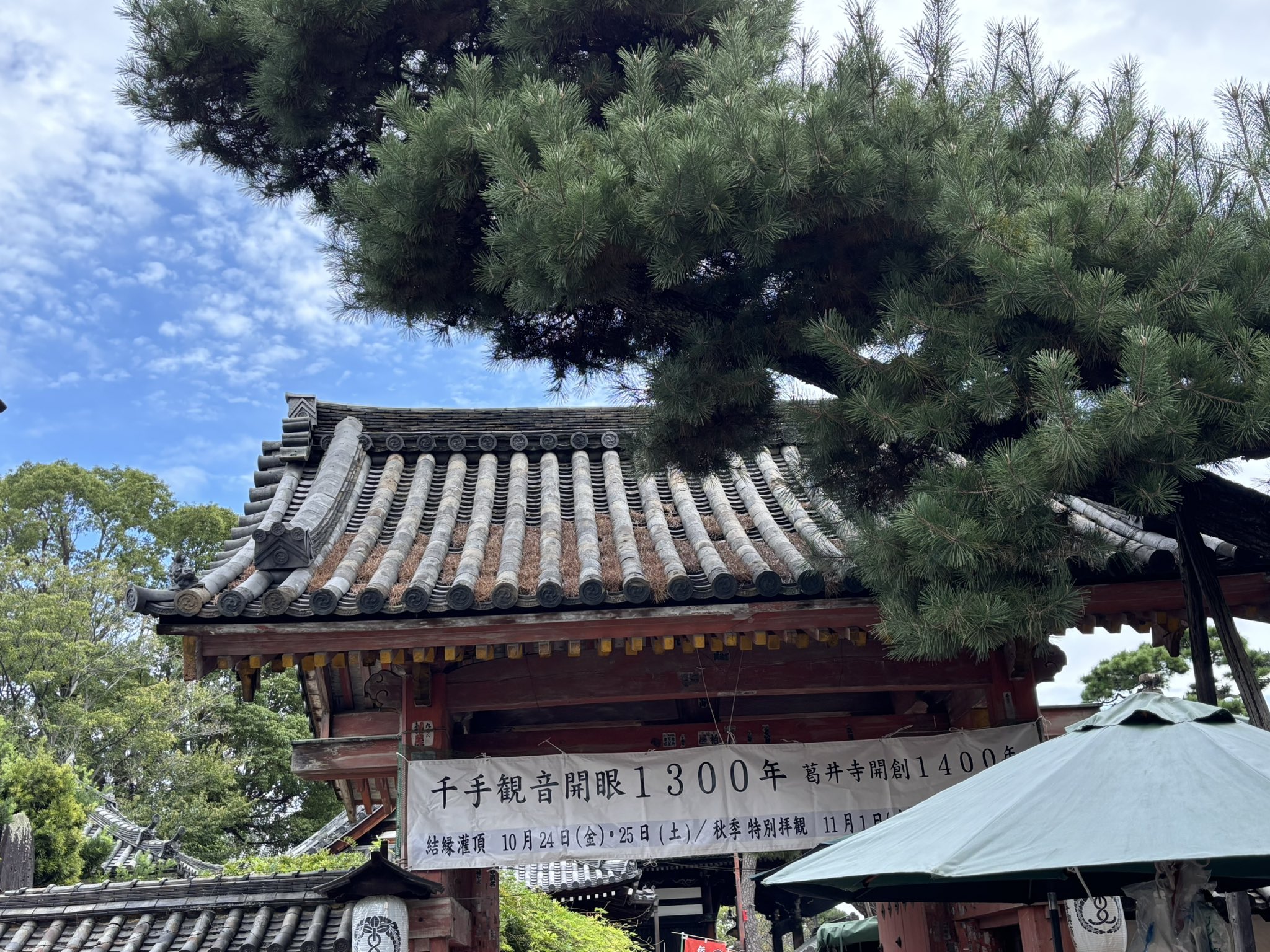 金剛家秘宝幽玄の美 糸蜻蛉 (@itotonbo01) / X