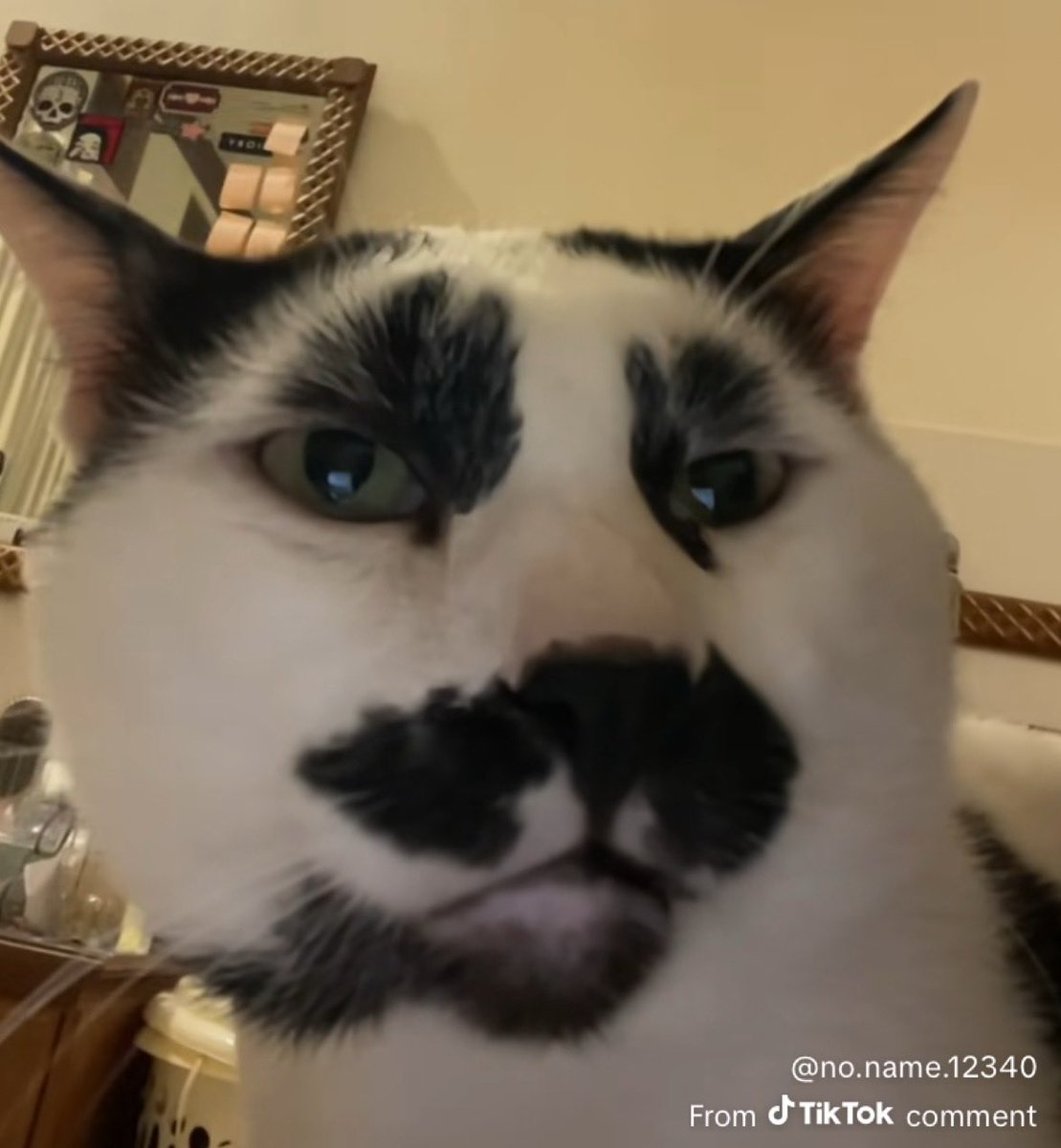 HRD BACOT (@hrdbacot) on Twitter photo 