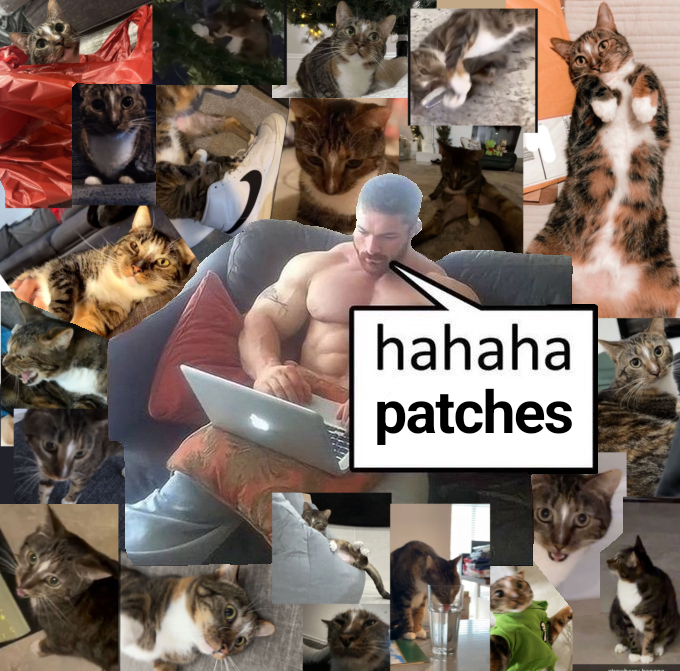 daily patches 😼 tweet media