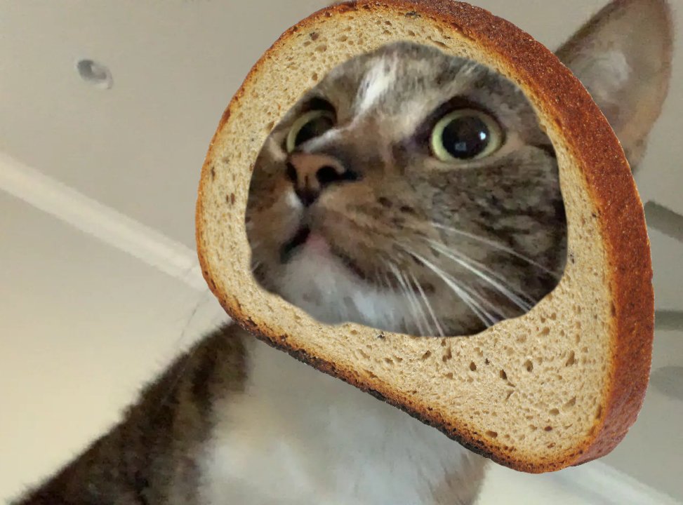 daily patches 😼 tweet media