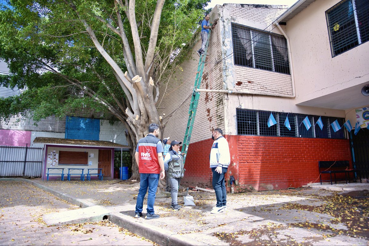 Warren Ochoa Orellana tweet media