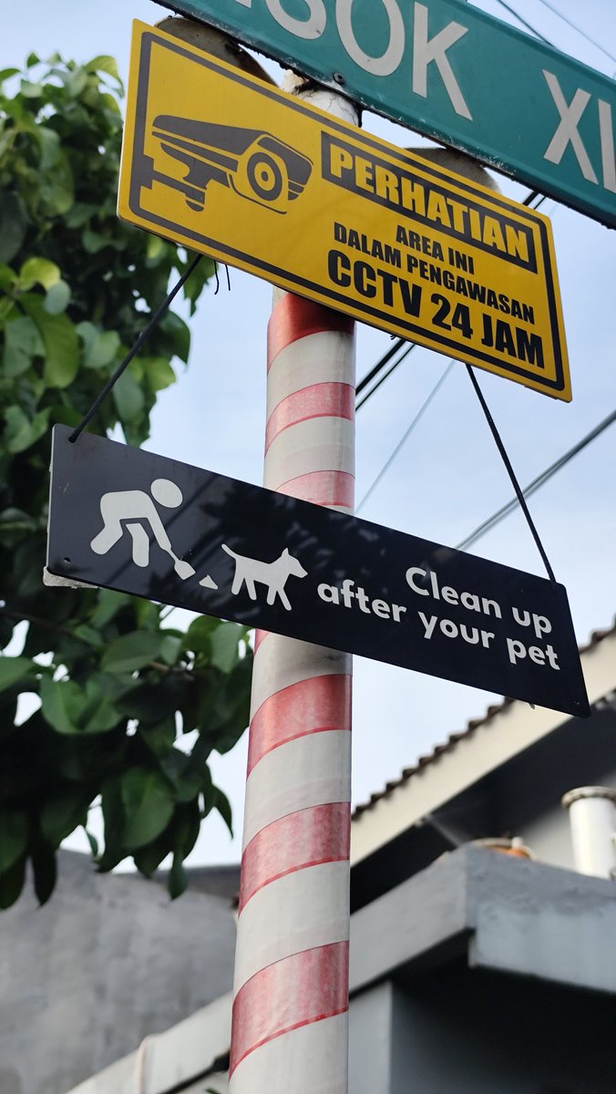 _ramaaamar_'s tweet image. Finish strong