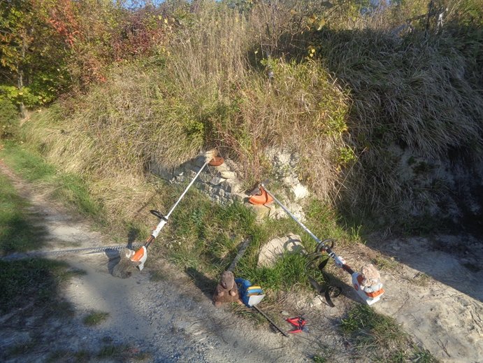 Gugellandia's tweet photo. Sonntags-Vergnügen in Gugellandia.
Die liebsten Grüsse von Gugel, Grünling und Harry. https://t.co/zI88t9Bh5n
