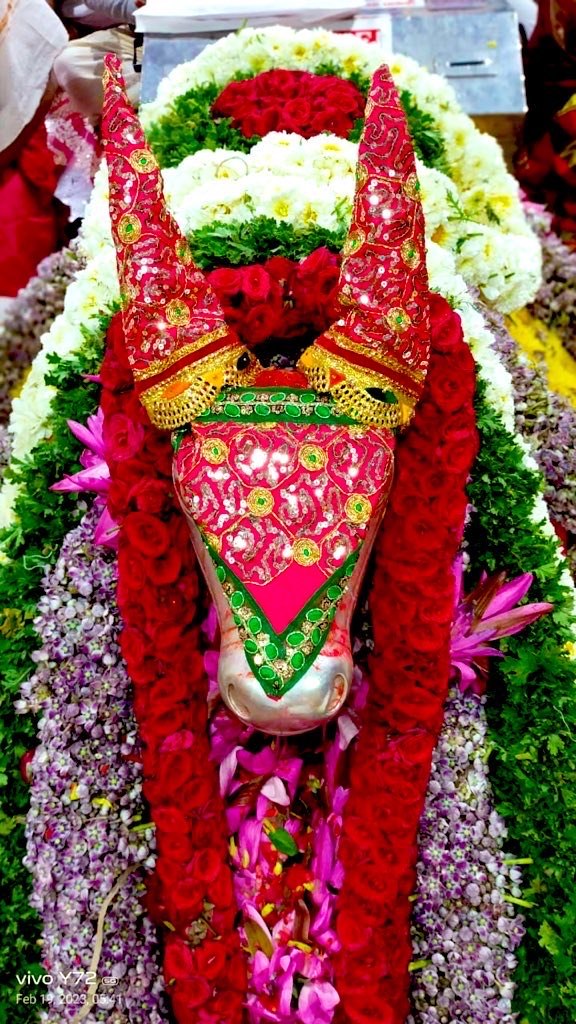 🙏🌹 *जय श्री महाकाल*🌹🙏
*श्री महाकालेश्वर ज्योतिर्लिंग जी का भस्म श्रंगार आरती दर्शन*
*19 अक्टूबर 2025 (रविवार)*