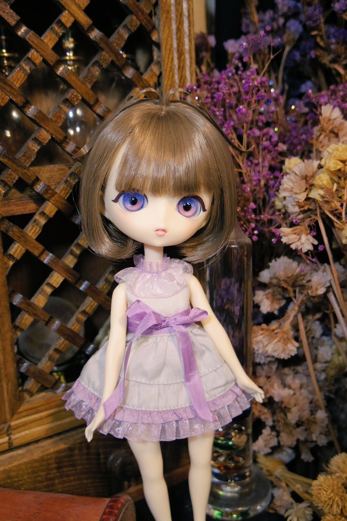 くらげ（海月座)🪼 (@kurage_za) / Posts / X