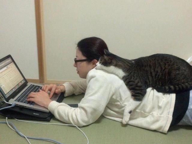 Spot the difference #catradora