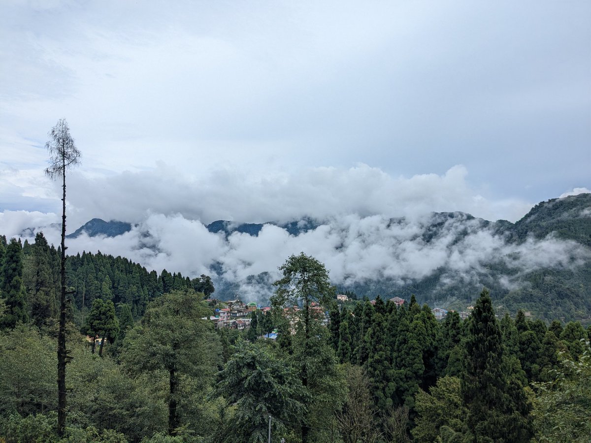 sumitdatta's tweet image. This is exactly how I code. I live in a small village in the eastern Himalayas. Been there since 2021.
This is a pic from a short drive away. I also run Curry Hostel there for digital nomads, check it out on IG!