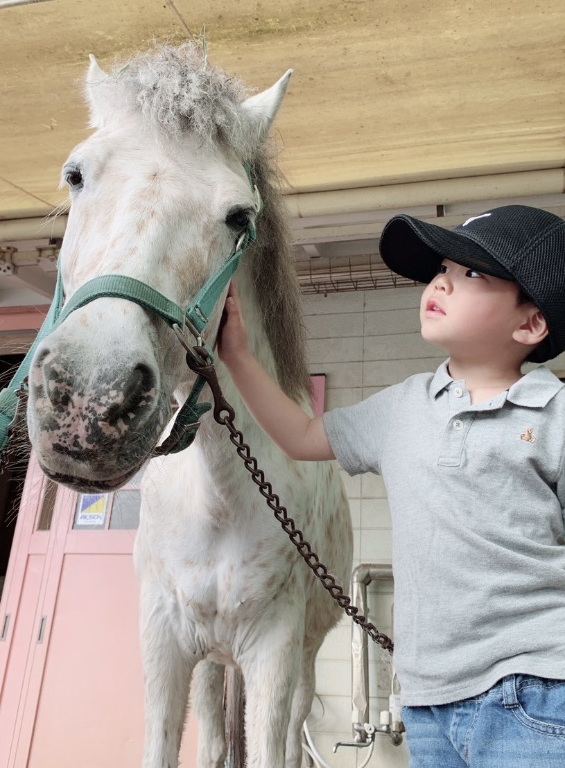 kakipi35's tweet image. お馬可愛いよね🐴❣️
競馬は全く分からないけど
馬大好き🫶
いつか飼いたい…
#秋華賞 #予想大会始まってる