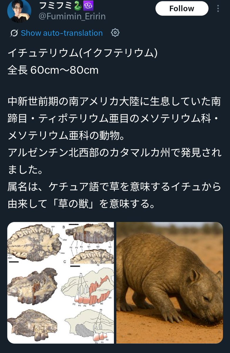 Tweet media one