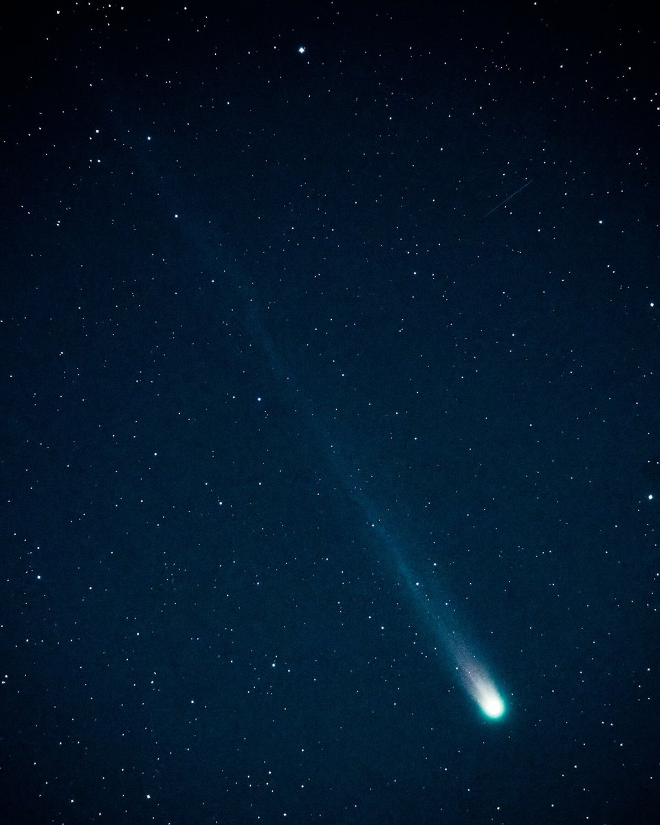 天リフ編集部 on X