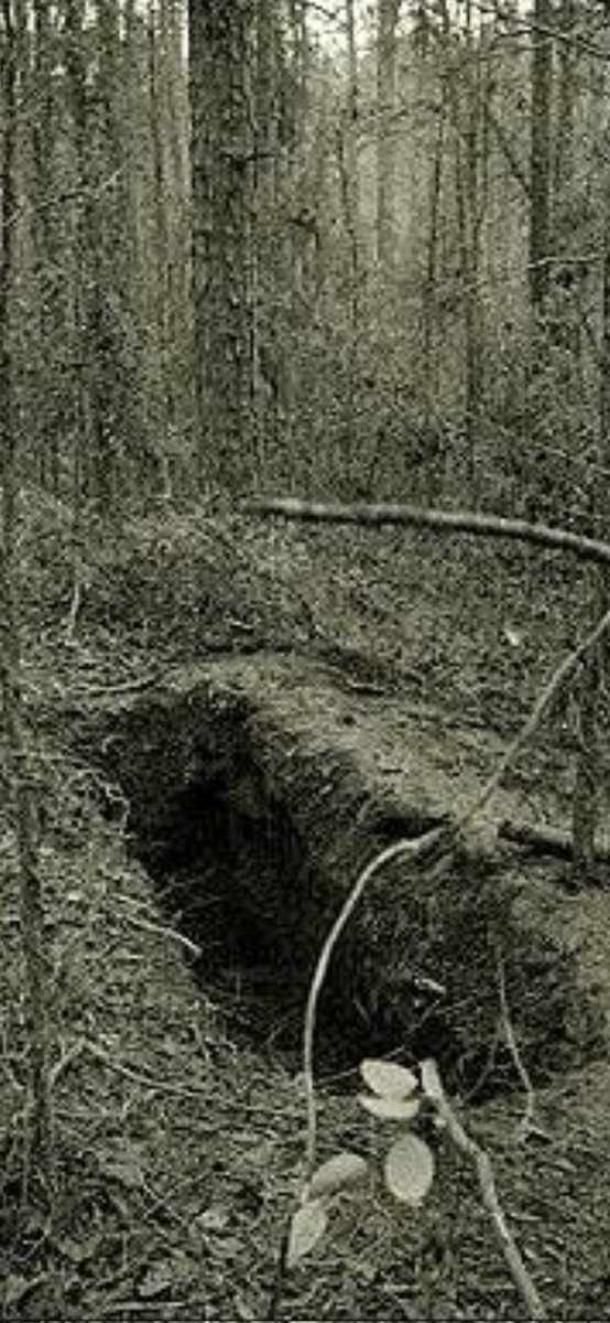 <a href="/WKatThomason/">ωнοορϊє ⳤατ ✌️☮️☯️</a> <a href="/DecotheCat/">Deco</a> I can totally dig it. 👍😁