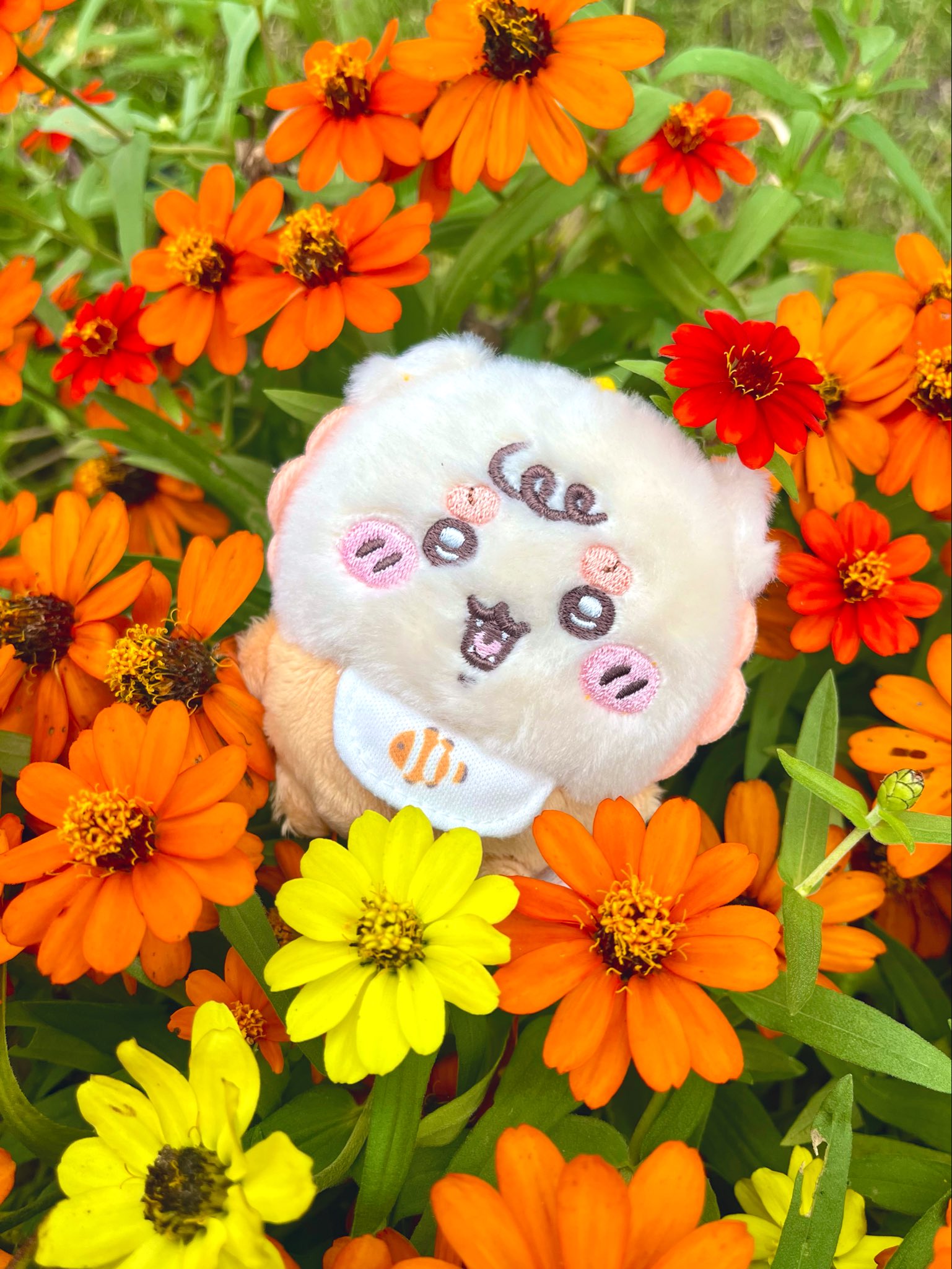 えっしゃんちい活垢 on X: 