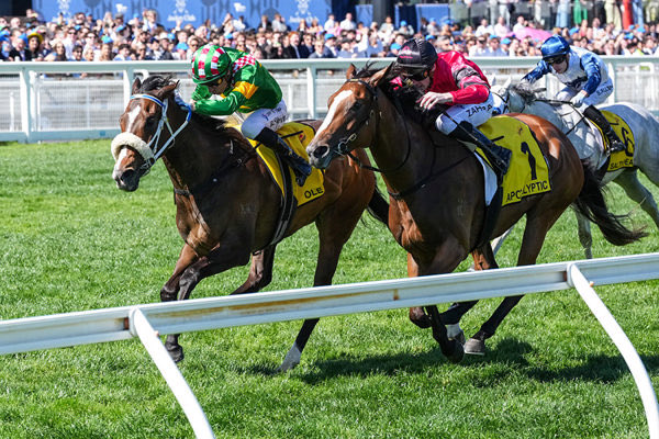 perpidextrous's tweet image. That tussle down the Caulfield straight between arguably the #1 and #2 Victorian  jockeys was epic 🥊 

But of course, you’ve got to wake up early to beat @blake_shinn…

{Credit to horse, strapper &amp;amp; training duo too!}