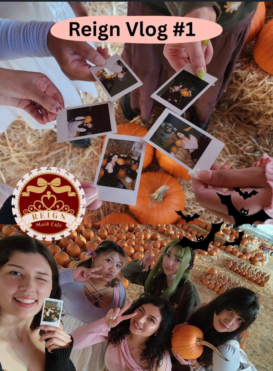 Reign Maid Cafe tweet media
