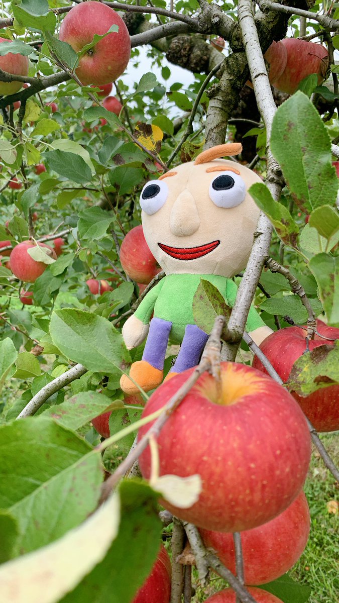 よかったねぇBaldi！