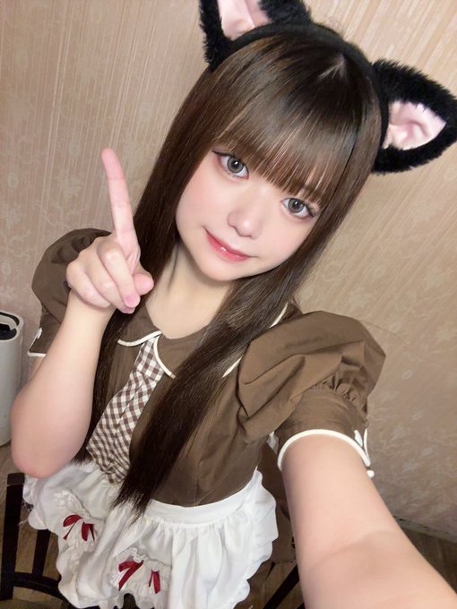 にゃんこメイドカフェ にゃんさんぶるのツイート