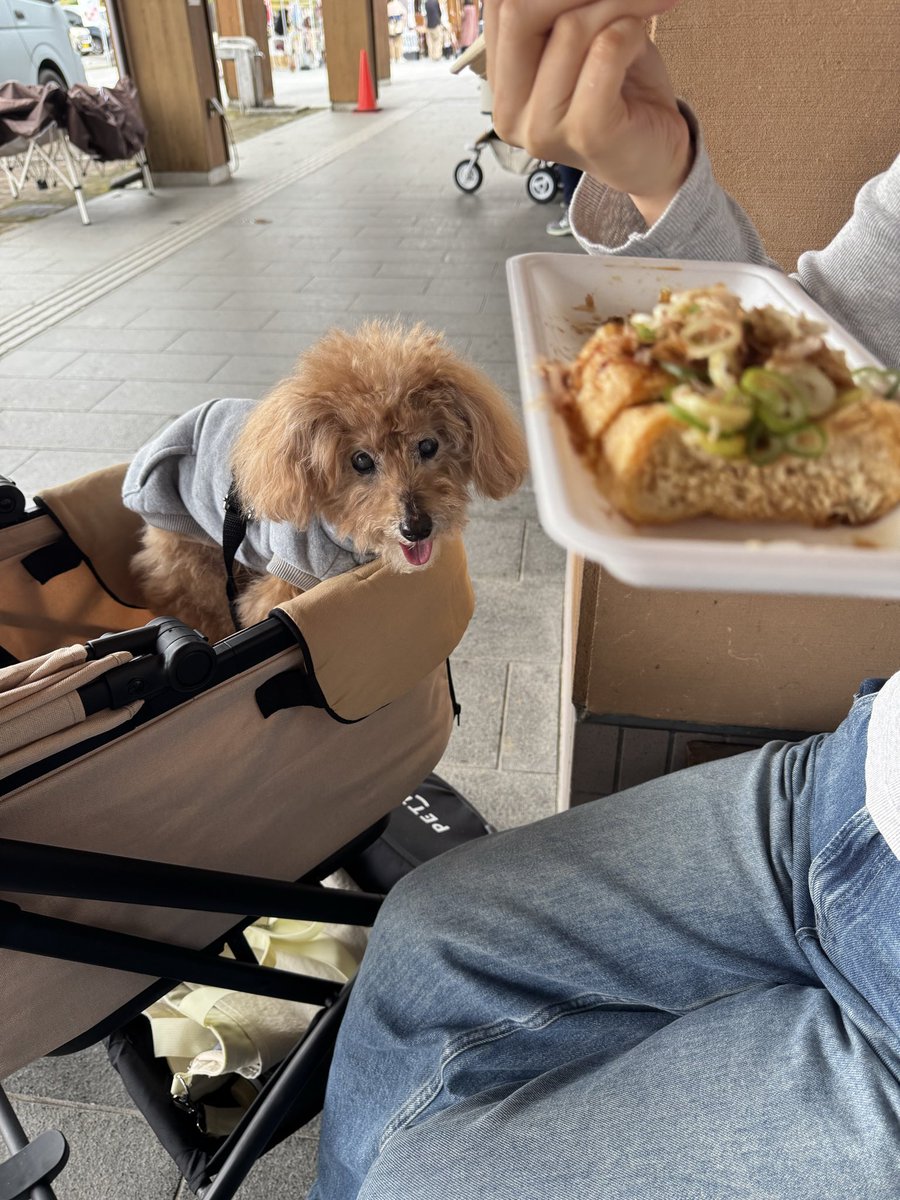 よっこ (@yokko1011972) / Posts / X