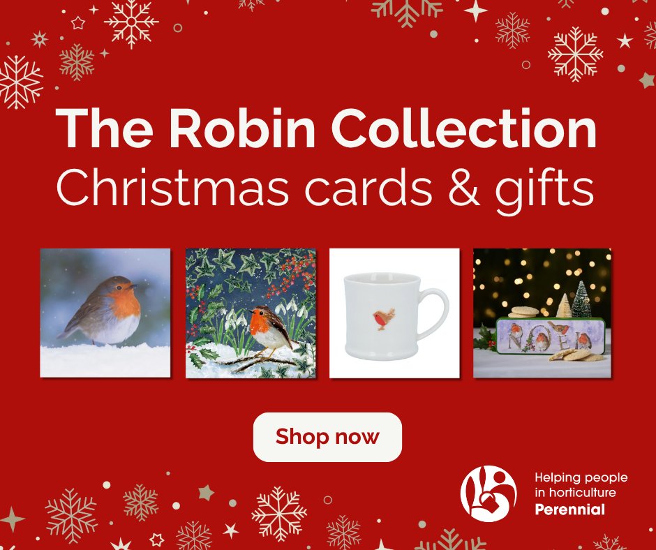To celebrate the festive robin we’ve curated a beautiful selection of themed gifts &amp; accessories, perfect for Christmas 🎄✨

Each purchase from our Robin Collection helps Perennial support people in horticulture 💚

Discover the collection: shop.perennial.org.uk/collections/ro…
#ShopPerennial