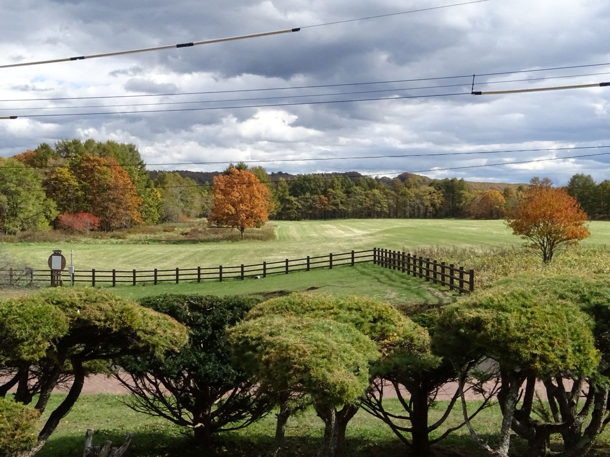 センターの周りも紅葉が進んできました。
夏鳥・冬鳥もぞくぞくと移動しているようです。
＃鶴居・伊藤タンチョウサンクチュアリ