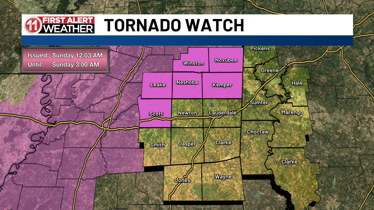 Deitra McKenzie tweet media