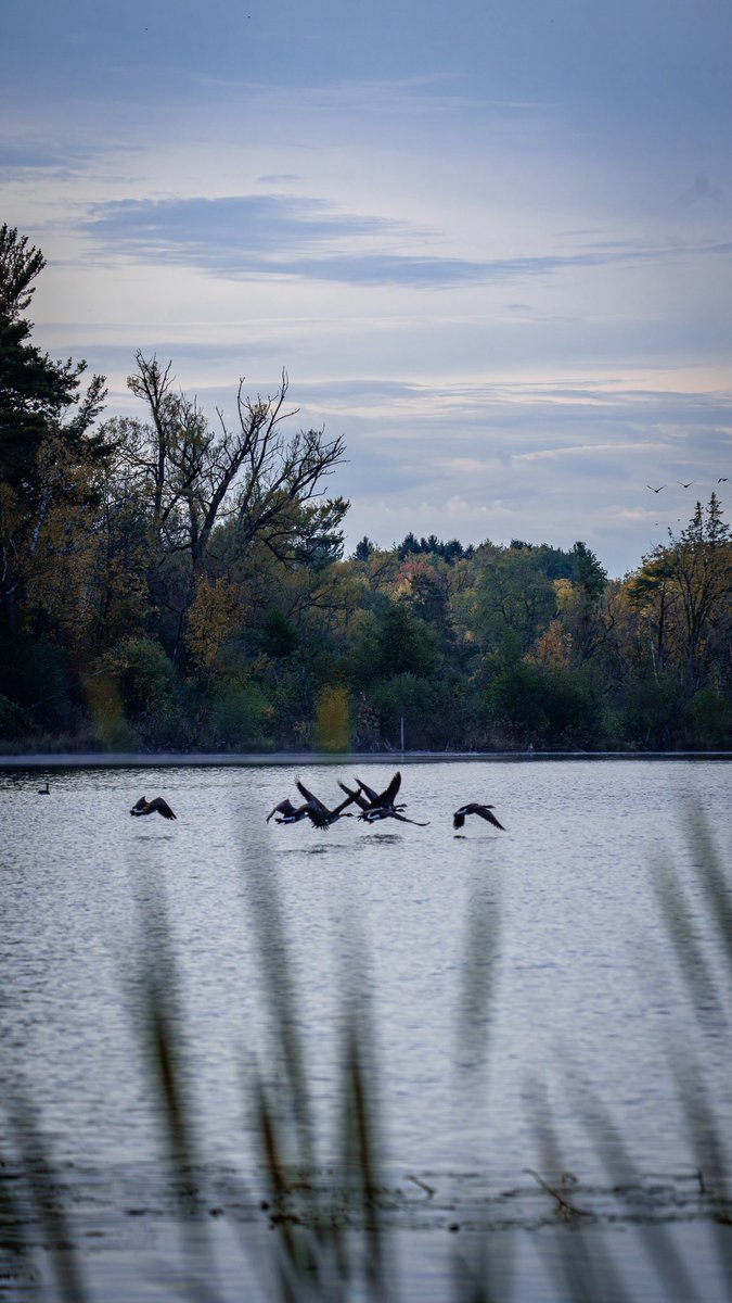 Intotheframes's tweet image. بالاخره پادشاه فصل ها قدمشون به تورنتو هم رسید!