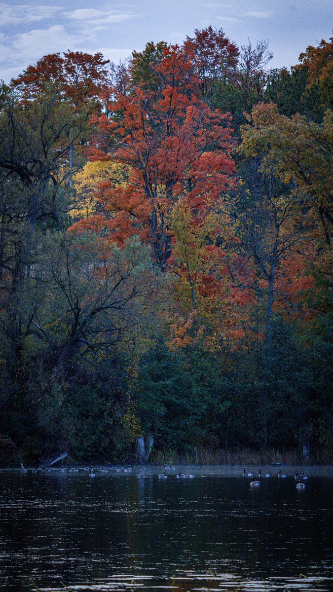 Intotheframes's tweet image. بالاخره پادشاه فصل ها قدمشون به تورنتو هم رسید!