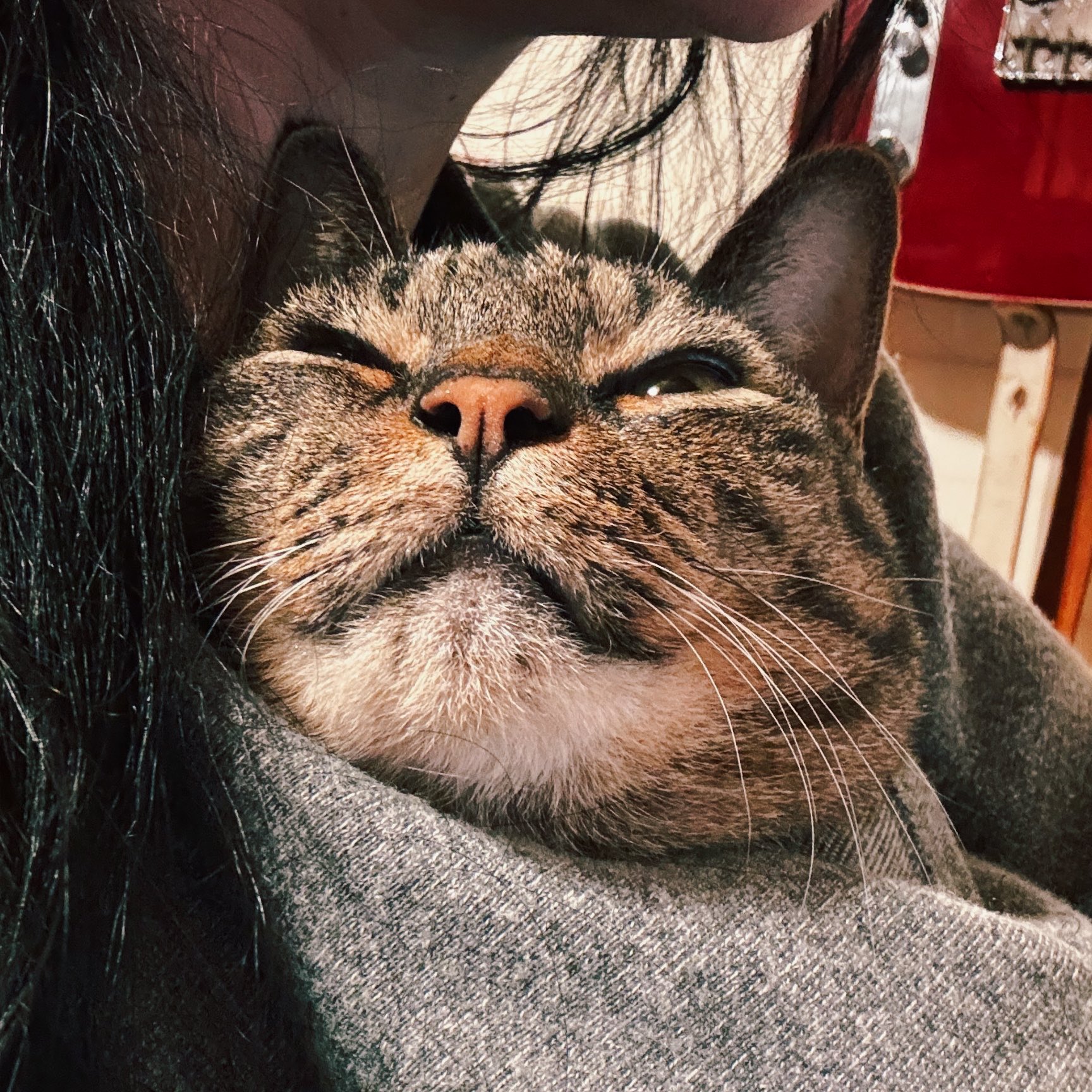 天野月🌎 (@Tsuki_Amano) / X