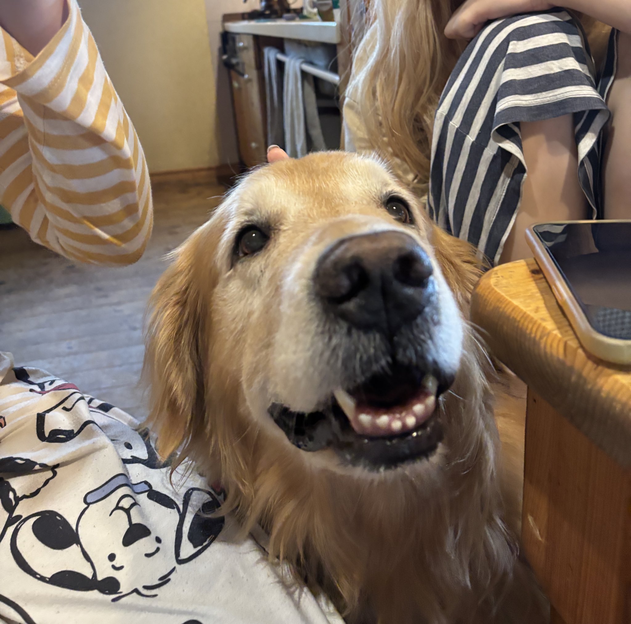 すまちゃん (@smile963) / X