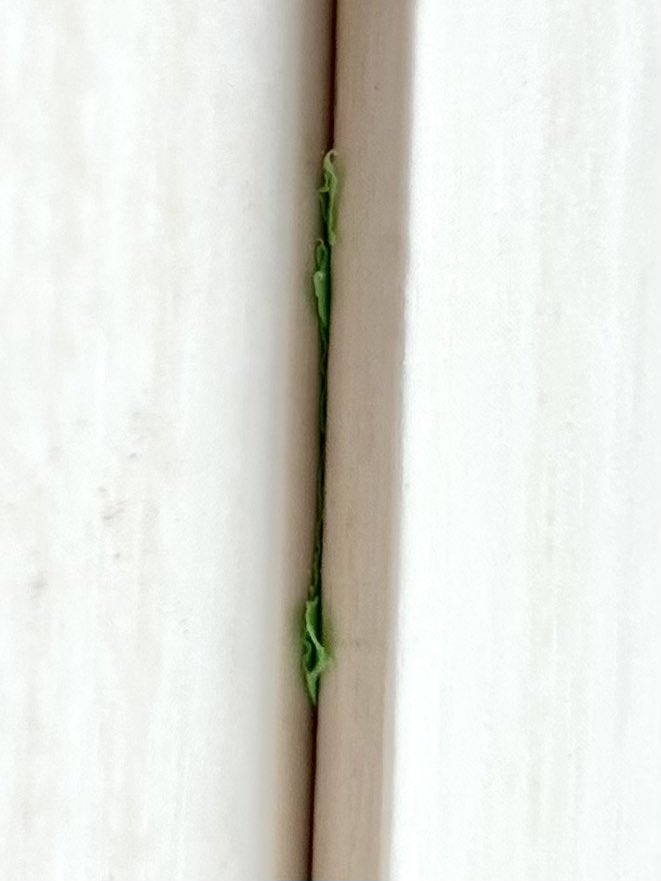 見るほど丁寧なおさまりだ。
#一条工務店