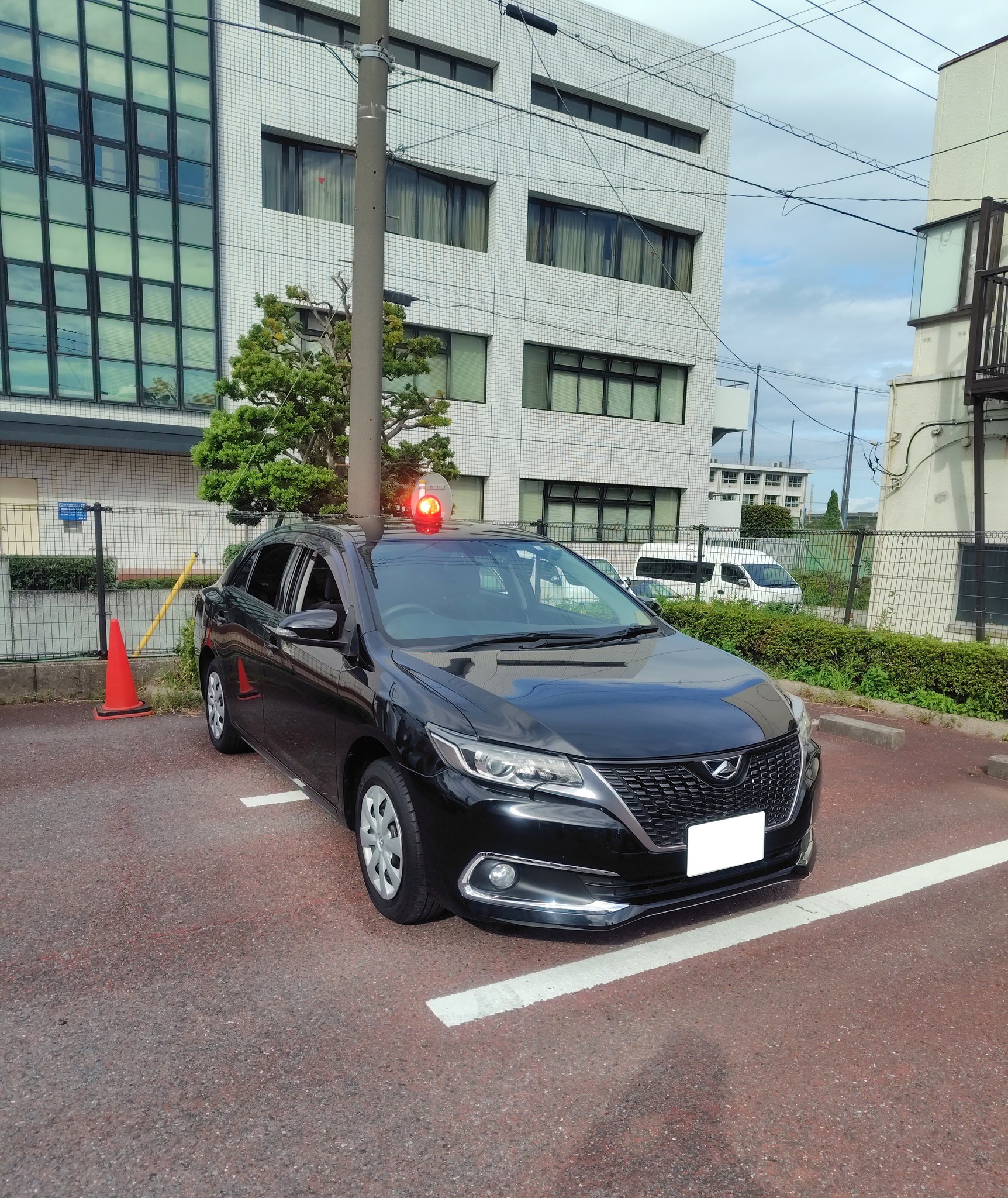 青空横蝶様ご確認 くれーと on X