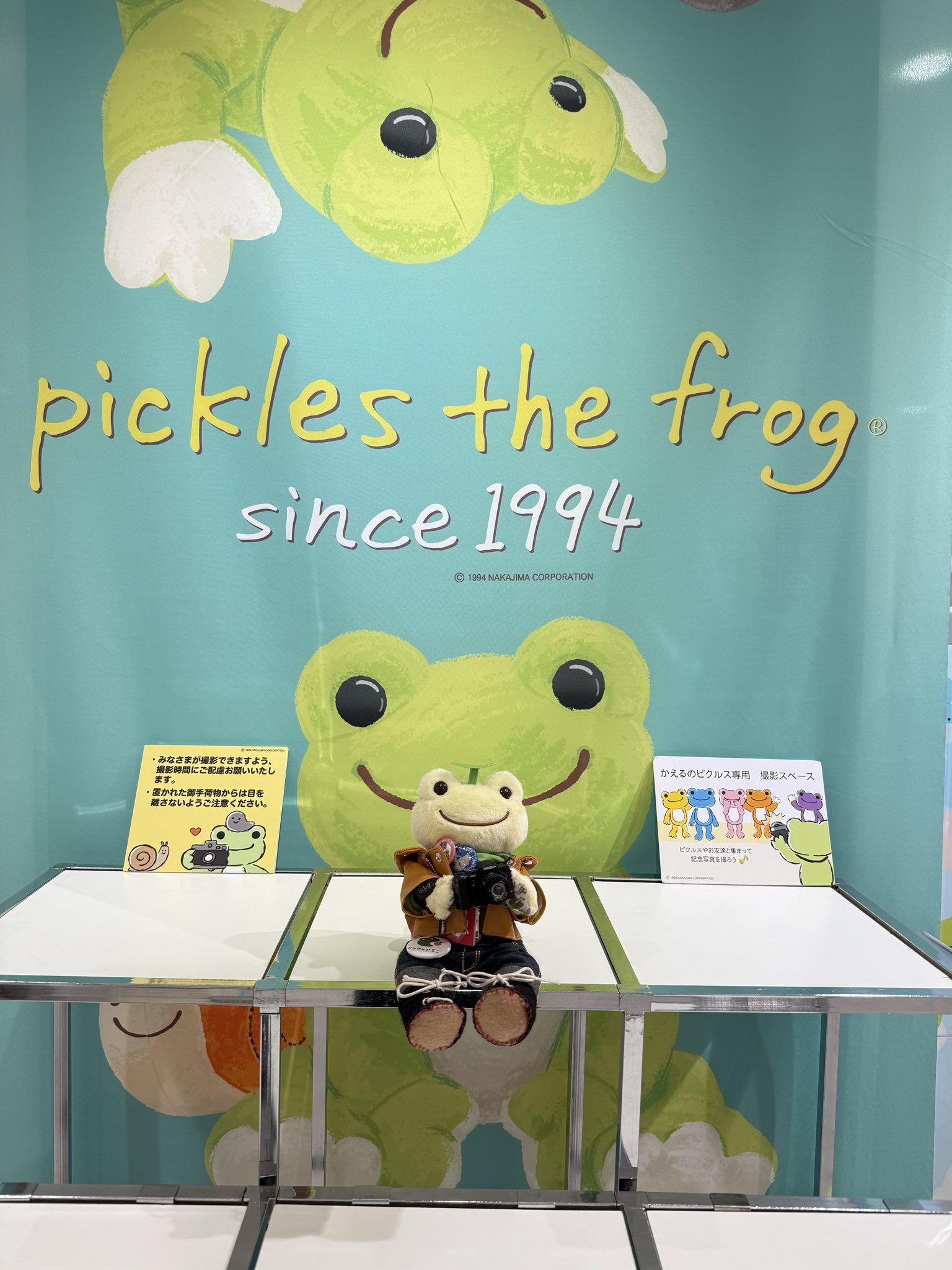 hakubotan (@hakubotan8) / X