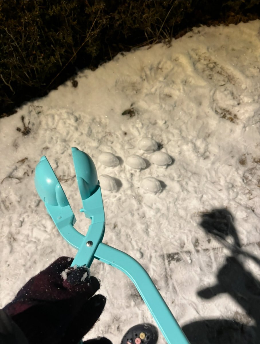 다음주에 눈온다고? ㅇㅋ
매년 눈오면 하는 일