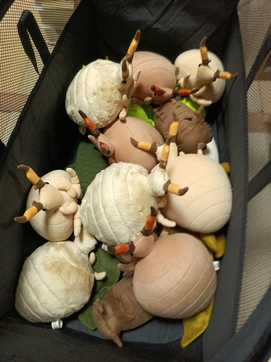 おっ！？Android版の不具合直ってる！！！
といことで記念ポスト！🪲🪲🪲