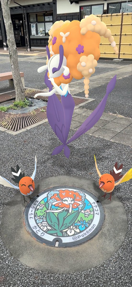 #ポケふた
千葉のポケふた！
4ヶ所目はフラージェスとヤヤコマ✨
実物だとオレンジかと思ったからオレンジで撮ったけど、元々は赤だったのかな？

#ポケモンGO 
#PokemonGo
#GOsnapshot
#GOスナップショット
#ARofTheDay 
#NianticAR
#PokemonGOar
#GOsnapshotCelebration
