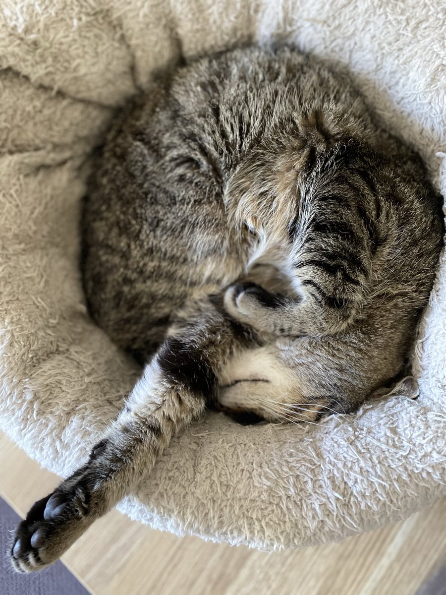 Kaybs Gaming tweet media