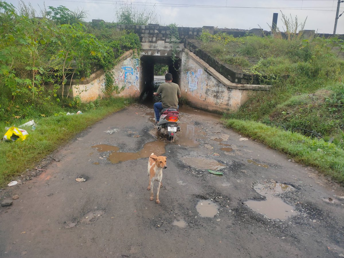 amageshcit's tweet photo. @DrmChennai @GMSRailway @ThirunindravurM sir this is between nemilichery and Tiruninravur railway station, condition of this not good. Please improve https://t.co/CzQj2aaRtU