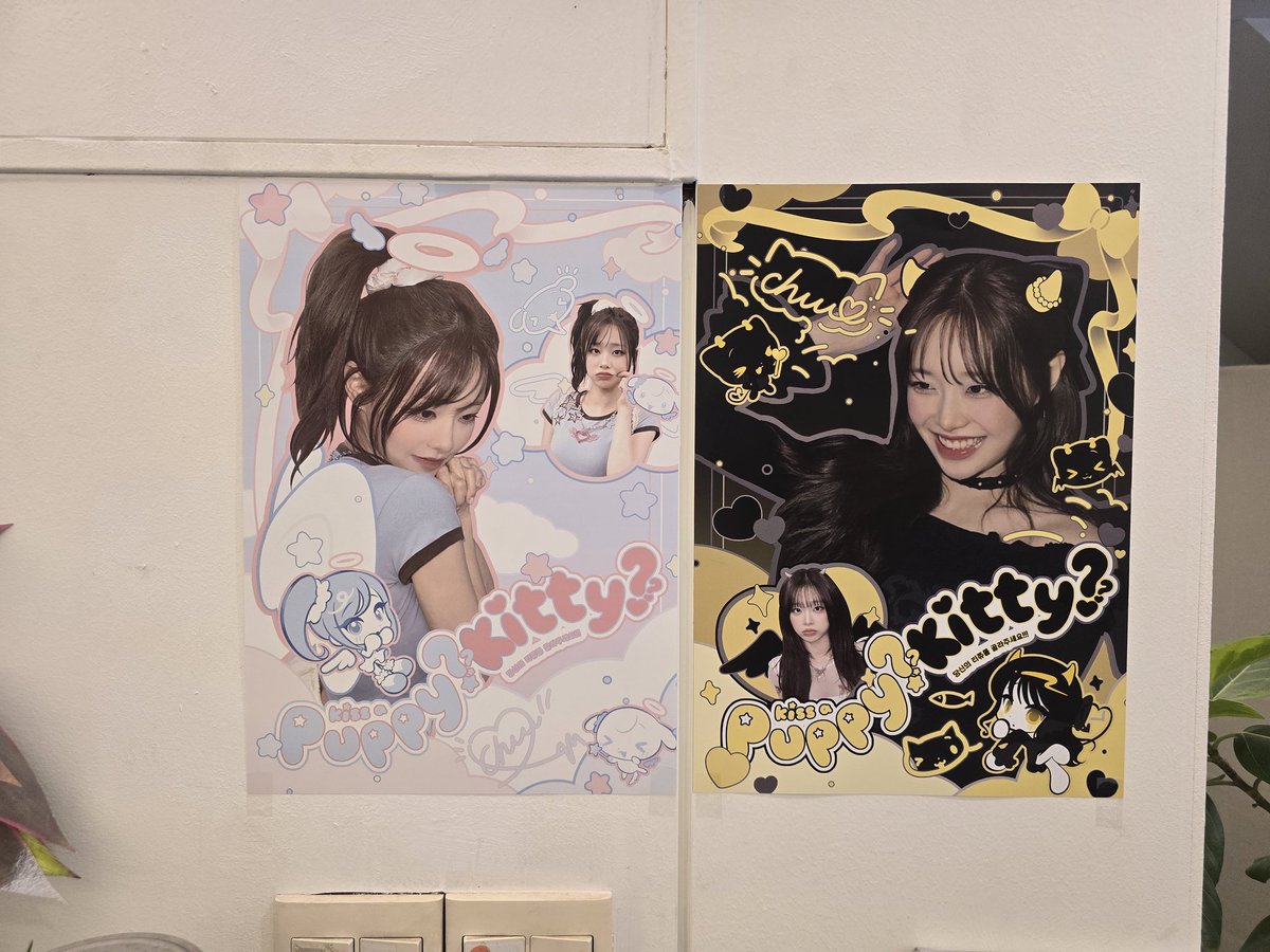 빵도리 tweet media