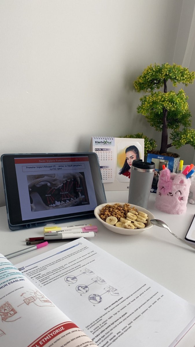 DUS’a başladım
Kazanınca alıntılıcam da burda kalsın