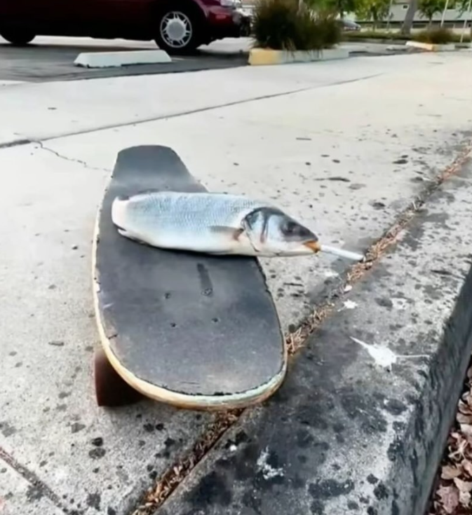 Shitpost 2077 (@shitpost_2077) on Twitter photo 