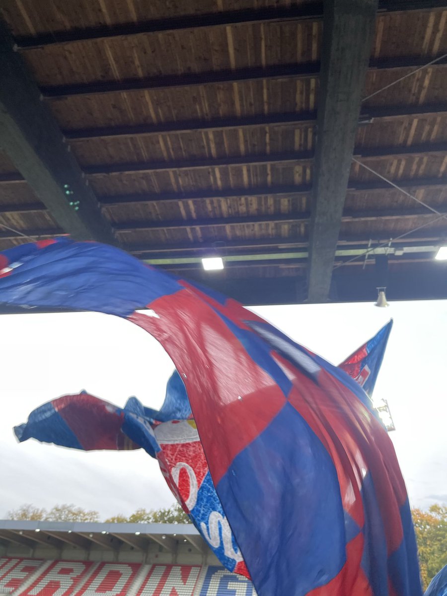 Klinterklater 🏳️🌈 tweet media