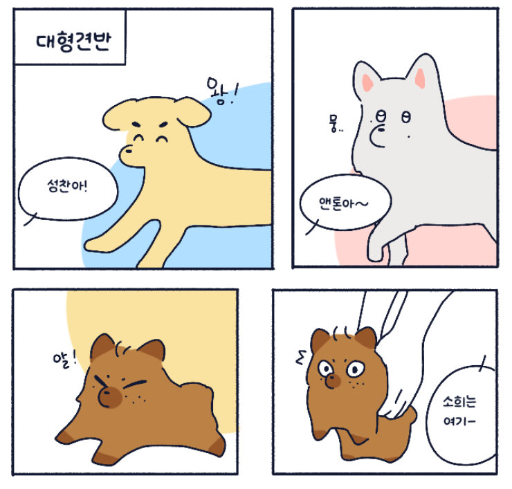 chorieoe's tweet photo. 멍이즈멍치원 https://t.co/uZrt0eLmuX