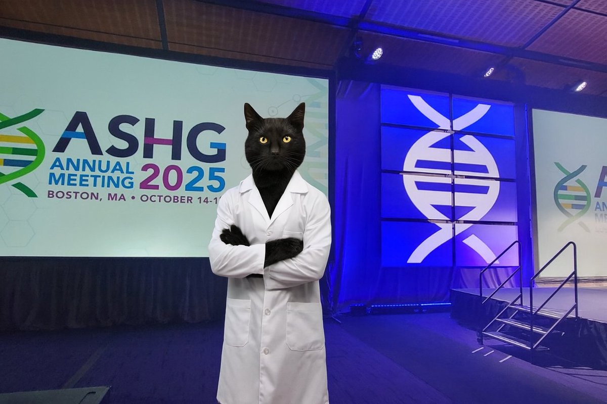 Eric Fauman (he/him) tweet media