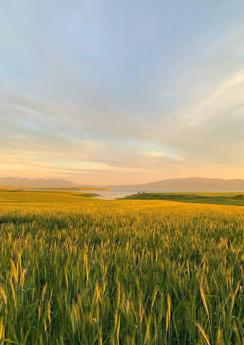 月曜日夕方のメモ：曇り／まったり。休憩する→散歩する。マイペースで。 🍛