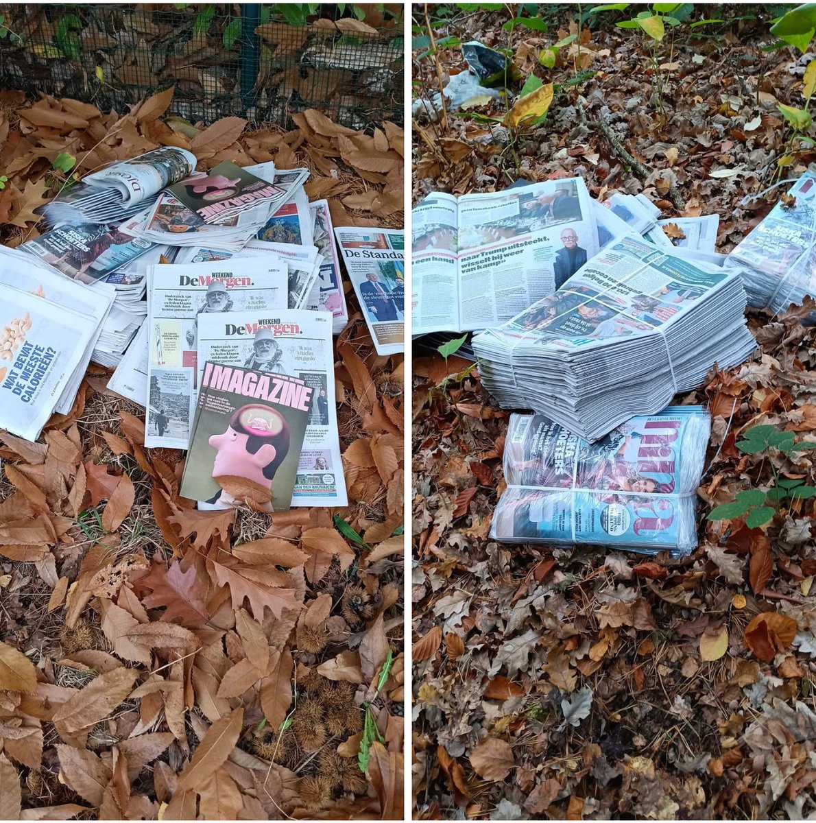 Fons Van Dyck tweet media